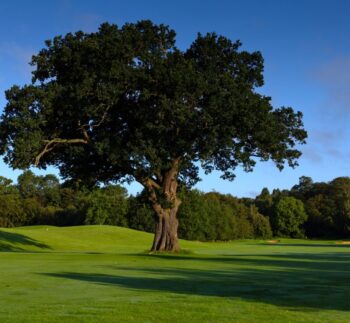 Golf Membership Sales & Marketing home